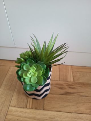 Planta suculenta artificial