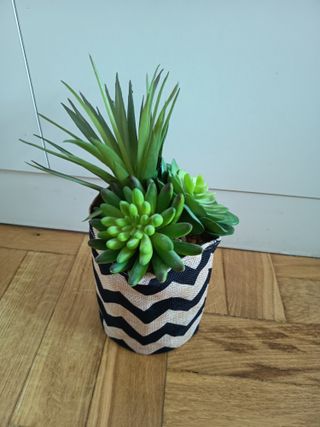 Planta suculenta artificial