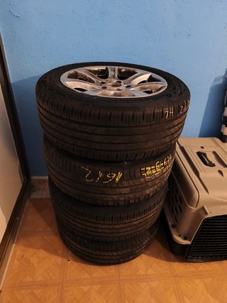 Neumáticos 17" 225/55 R17 XL BMW Serie 3 2016