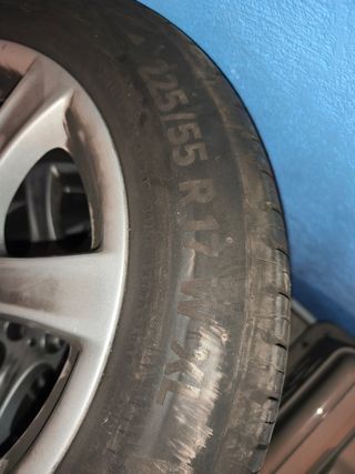 Neumáticos 17" 225/55 R17 XL BMW Serie 3 2016