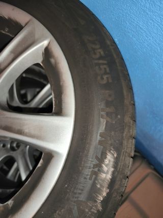 Neumáticos 17" 225/55 R17 XL BMW Serie 3 2016