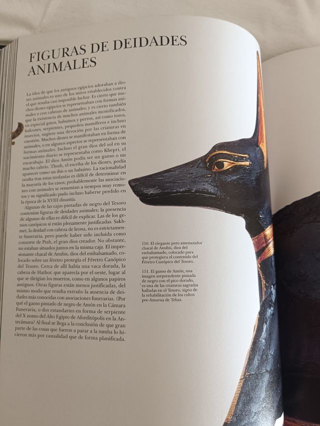 Biblioteca Egipto. Tutankamon