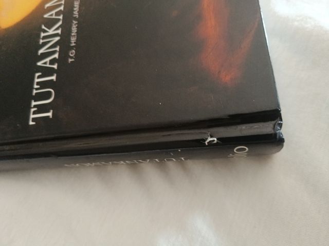 Biblioteca Egipto. Tutankamon