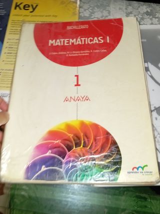 Matemáticas I.