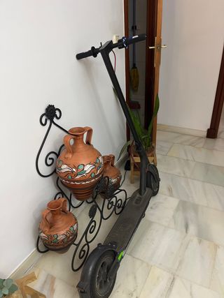 Patinete Xiaomi 365 Pro 