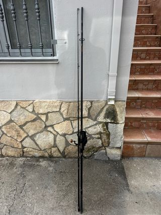 Conjunto carpfishing spood