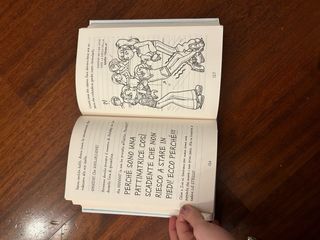 Libro I diari di Nikki avventure sul ghiaccio