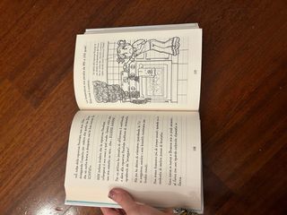 Libro I diari di Nikki avventure sul ghiaccio