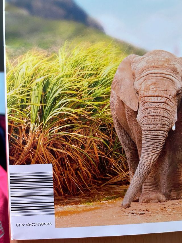 Bloc Dibujo A3 Expertiz - 40 hojas