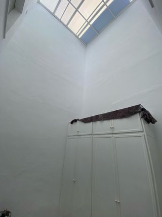 Pintor profesional servicios