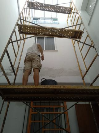 Pintor profesional servicios