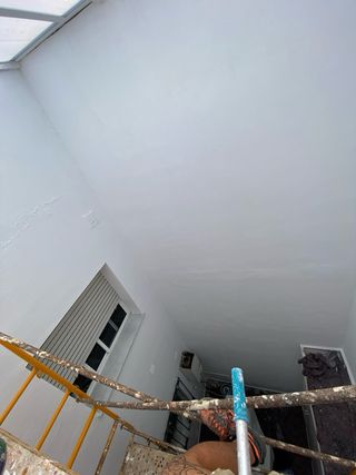 Pintor profesional servicios