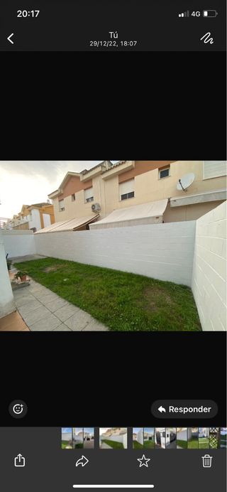 Pintor profesional servicios