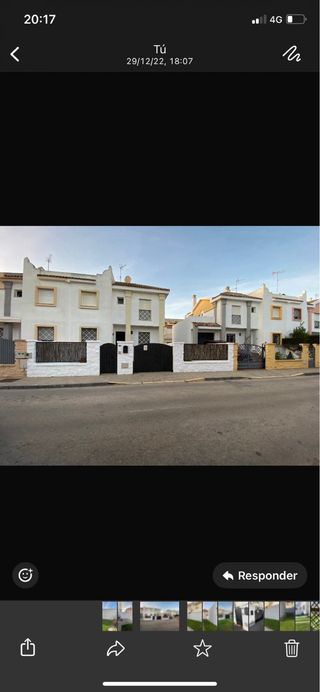 Pintor profesional servicios