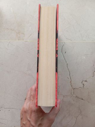 El foc (NARRATIVA) (Catalan Edition)