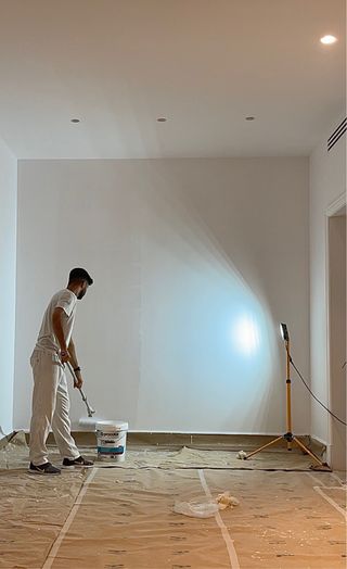 Pintor Profesional 