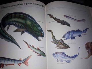 Encicloped de dinosaurios y animales prehistóricos