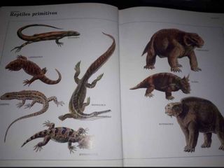 Encicloped de dinosaurios y animales prehistóricos