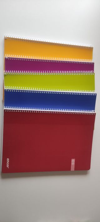 Lote de 5 cuadernos ANCOR