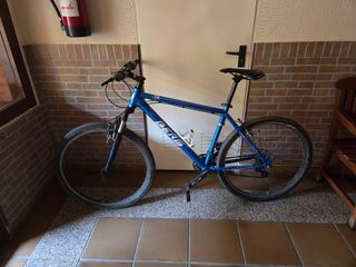 Bicicleta Berg montaña azul