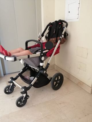 Carrito Bugaboo Cameleon3