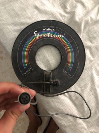 Bobina White's Spectrum