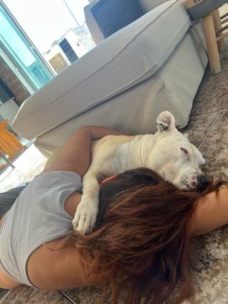 Cuidamos animales por findes,  eventos y vacacione