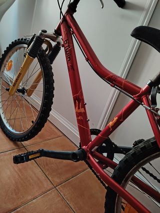 Bicicleta niñ@ montaña roja unisex mtb