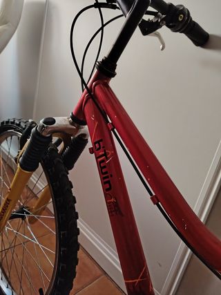 Bicicleta niñ@ montaña roja unisex mtb