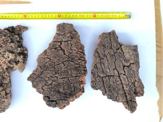 Corcho alcornoque terrarios 3uds