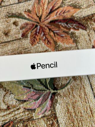 Apple Pencil 2 - Penna digitale