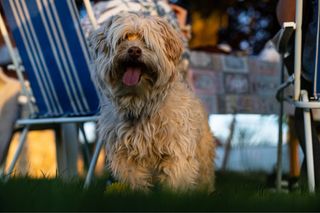 Objetivo CLA Nikkor 50mm f/1.4 AIS