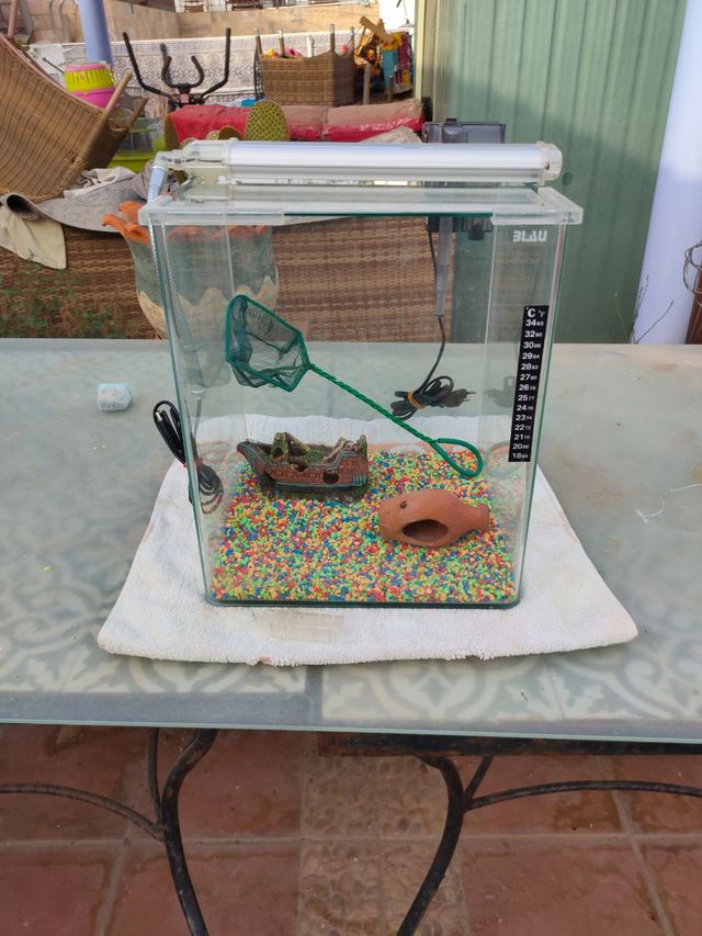 Pecera Blau 30L con accesorios