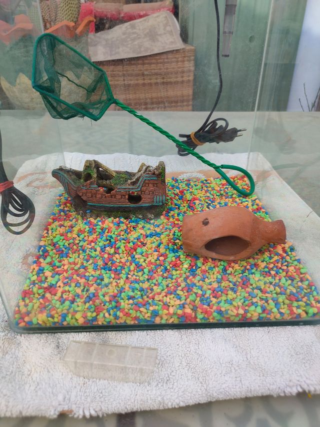 Pecera Blau 30L con accesorios