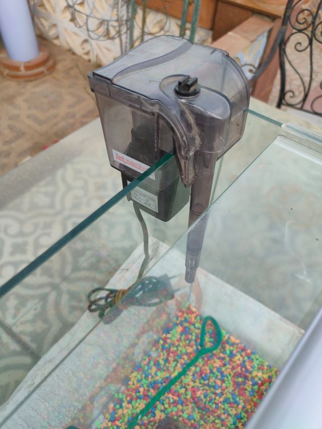 Pecera Blau 30L con accesorios