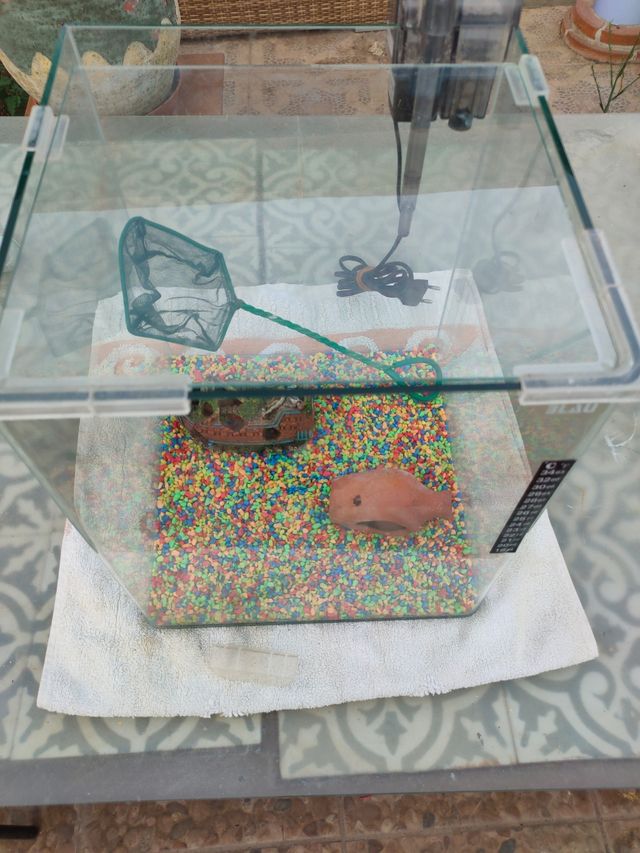 Pecera Blau 30L con accesorios