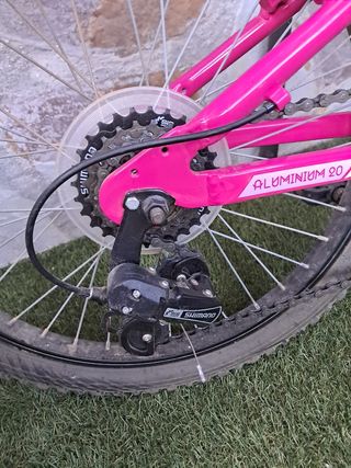 Bicicleta niña 20 pulgadas