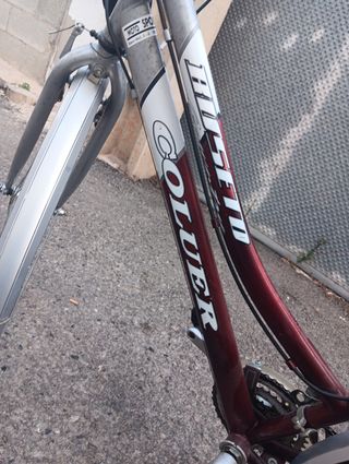 Bicicleta paseo 