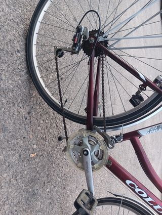 Bicicleta paseo 