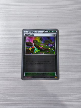 POKEMON VALLE DIMENSIONALE PREMIUM CHAMPION PACK