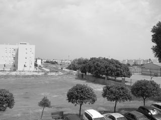 Nikon Cámara digital Coolpix L6 de 6MP con zoom