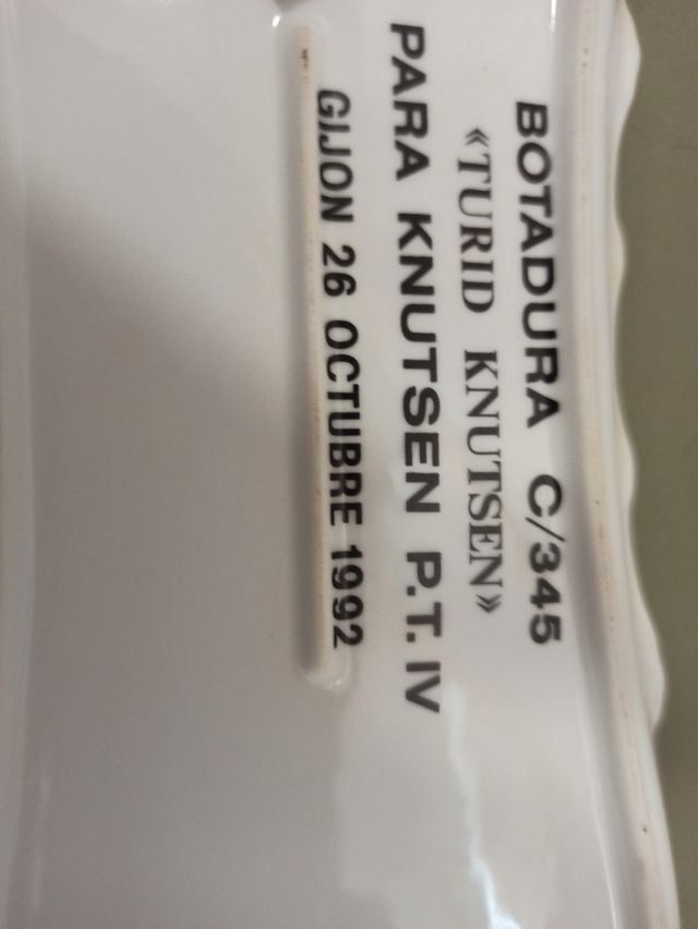 Bandeja porcelana - Botadura C/345