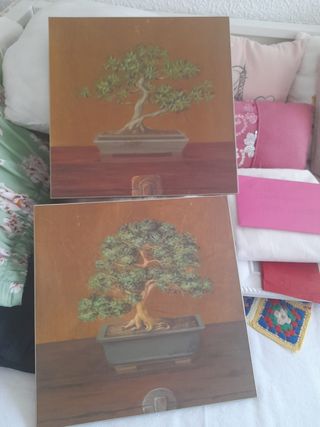2 Cuadros Bonsái - Arte