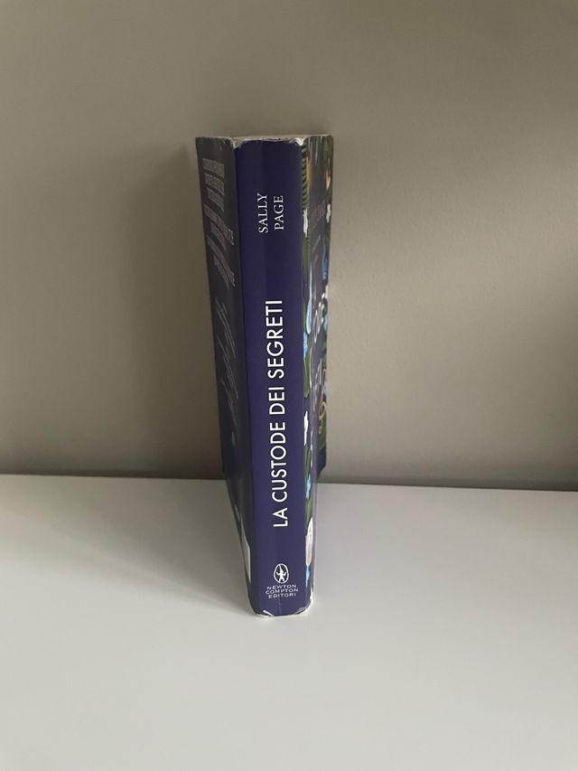 Sally Page - La custode dei segreti (libro)