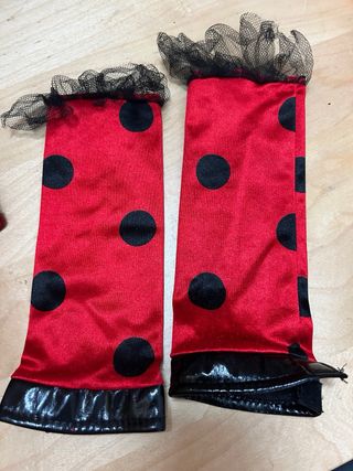 Disfraz mariquita niña