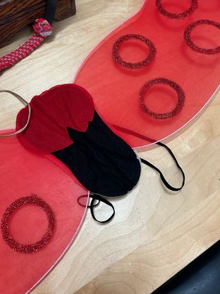 Disfraz mariquita niña