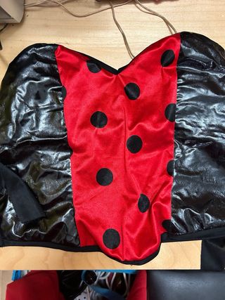 Disfraz mariquita niña