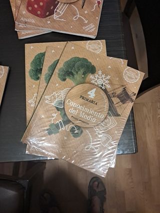 Libros de texto 4 de primaria