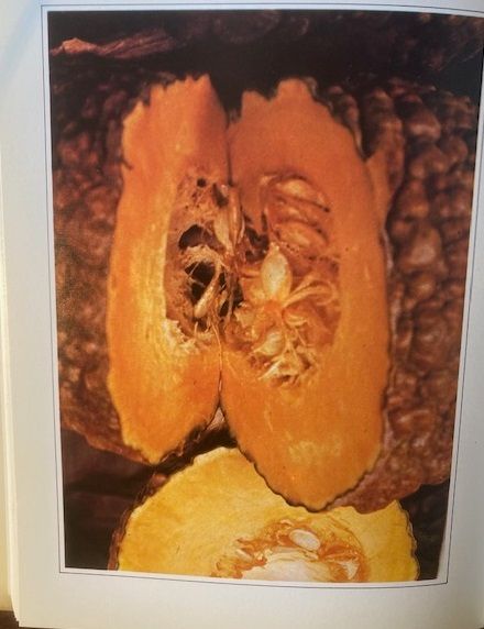 Atlas de las Frutas y las Verduras