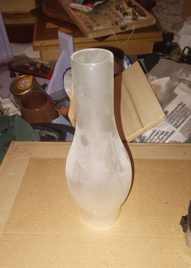 5 tulipas cristal translúcido